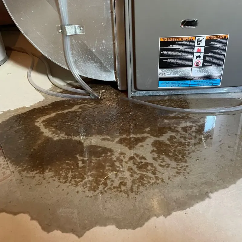 Pipe Burst and Leak Restoration in Granger, IN